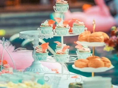 Caterer Service
